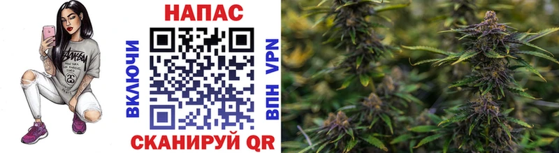 Канабис White Widow  где купить наркотик  мега ссылка  сайты даркнета наркотические препараты  Себеж 